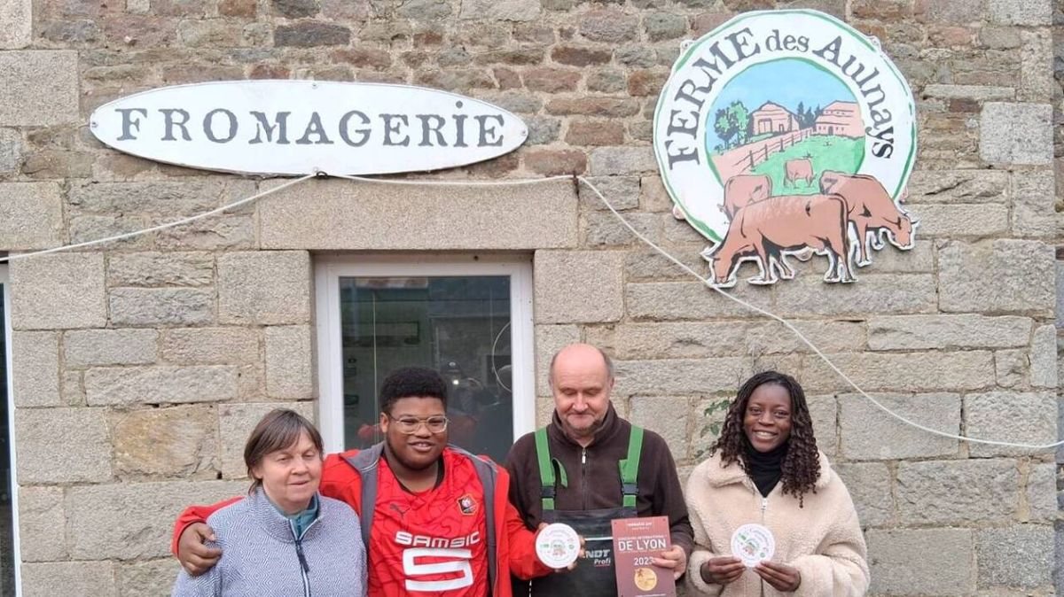 Le camembert des Aulnays : une étoile montante des fromages bretons