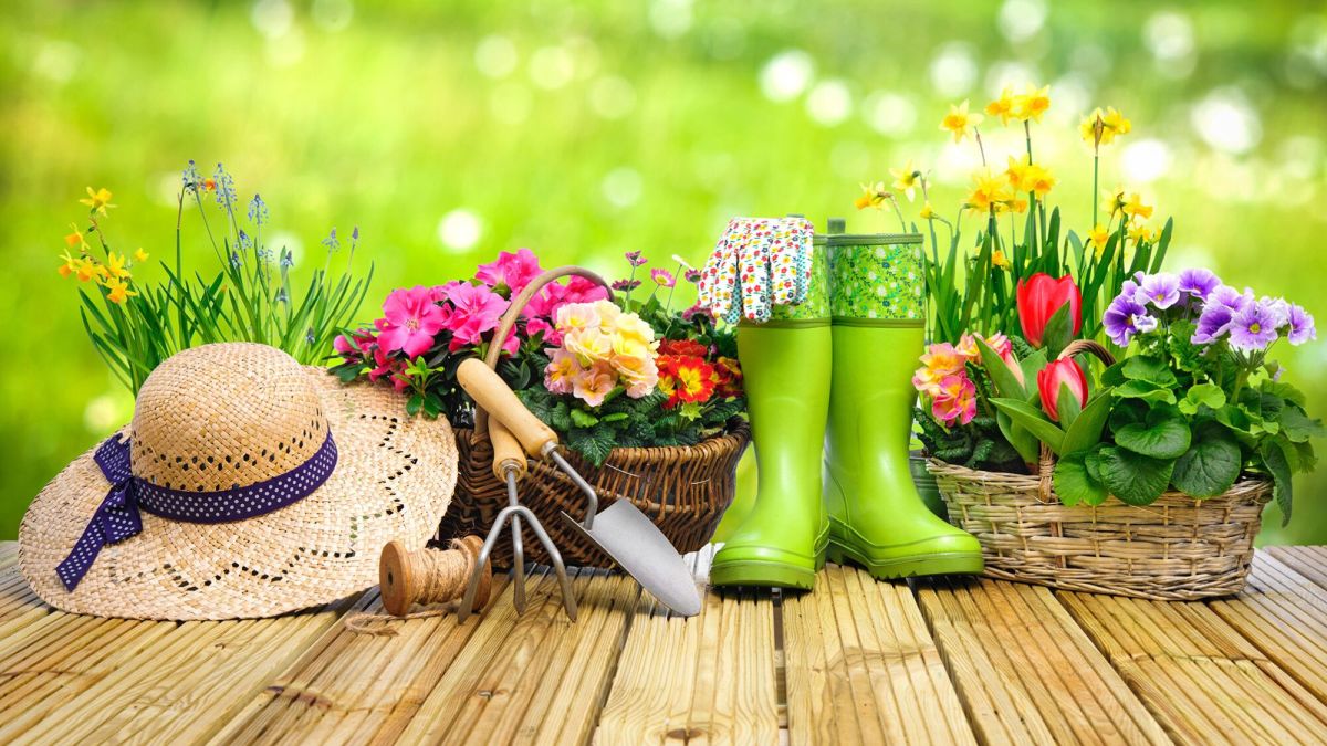 Printemps au jardin : vos questions, nos réponses