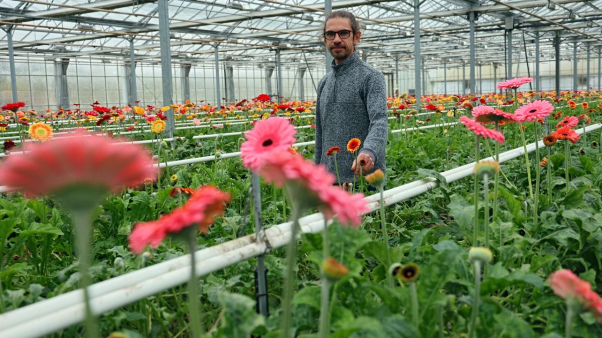 Maxime Clément, héros de la fleur coupée à Cellettes