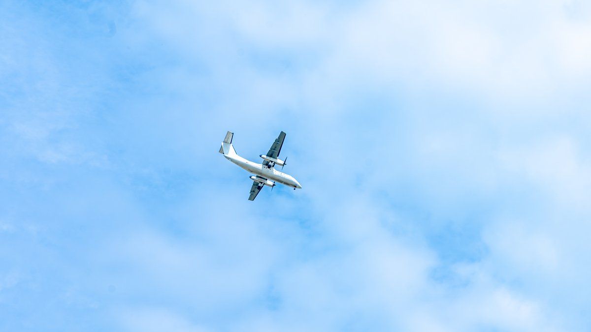 Quatre victimes dans le crash d'un avion en Ariège : une tragédie dans les Pyrénées