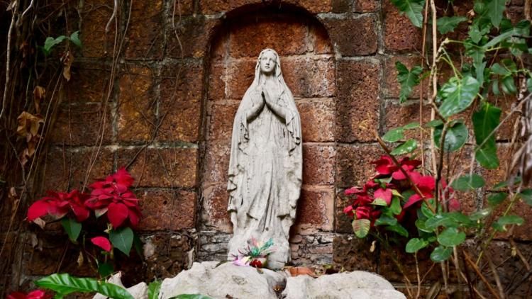 L'Immaculée Conception : un éclair de lumière en plein hiver