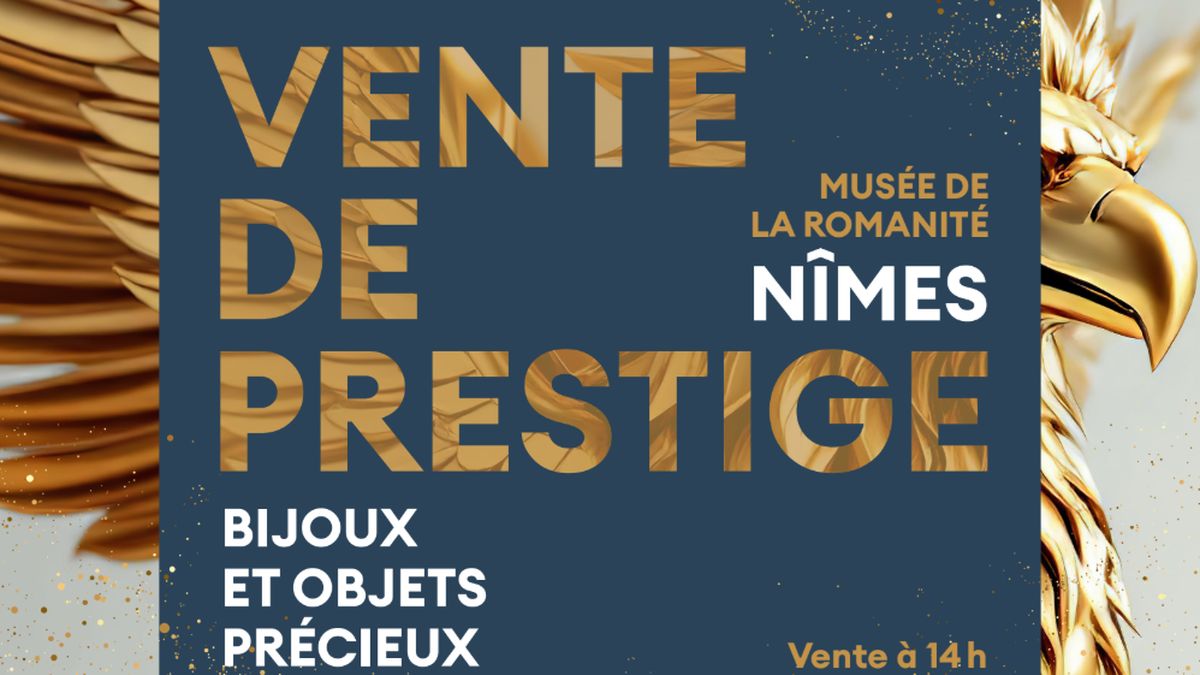 Une vente aux enchères spectaculaire à Nîmes : plus de 140 000 € amassés