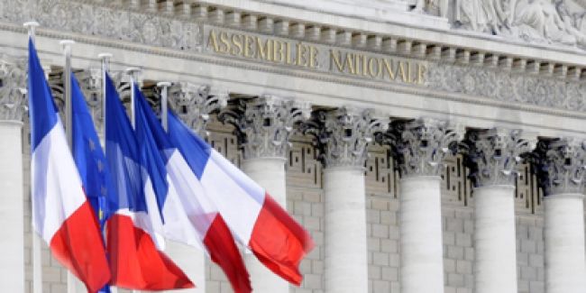 Vers un jardin sans pesticides : l'émergence du zéro phyto