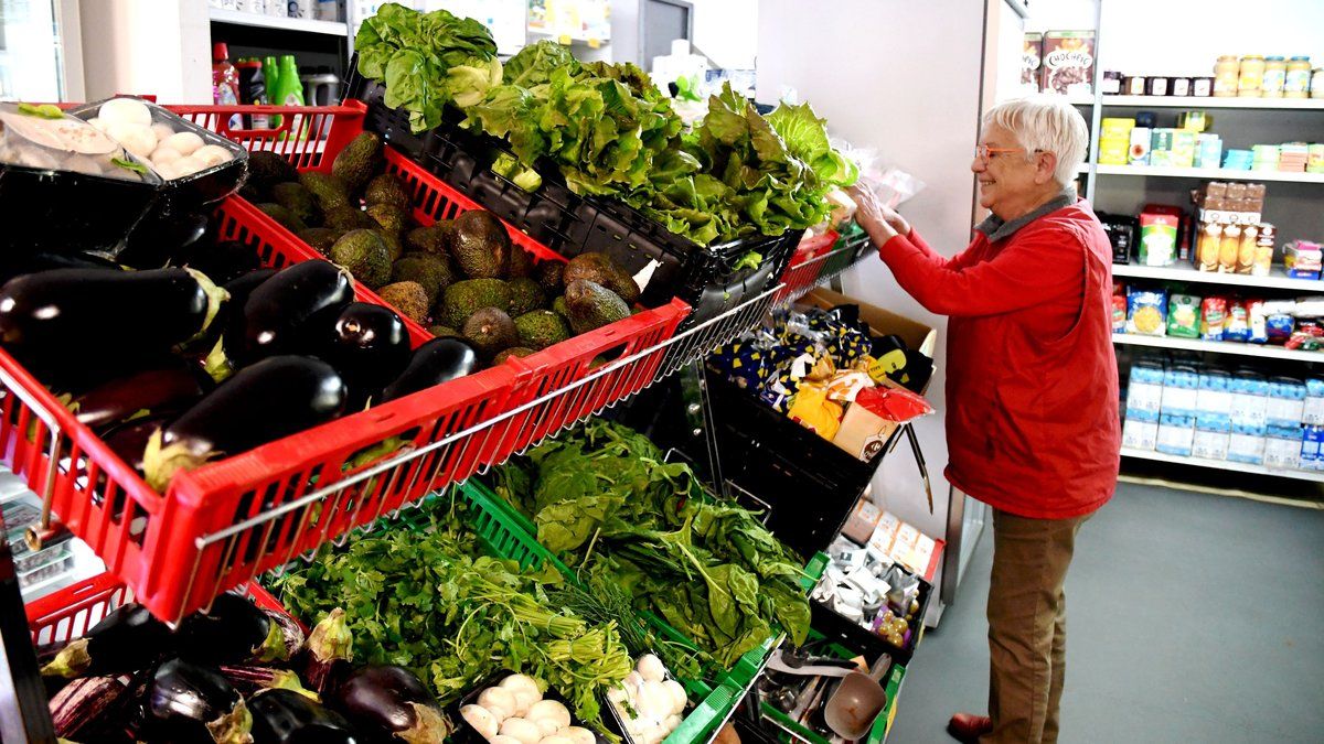 L'épicerie solidaire de Carcassonne : un refuge pour des milliers de foyers
