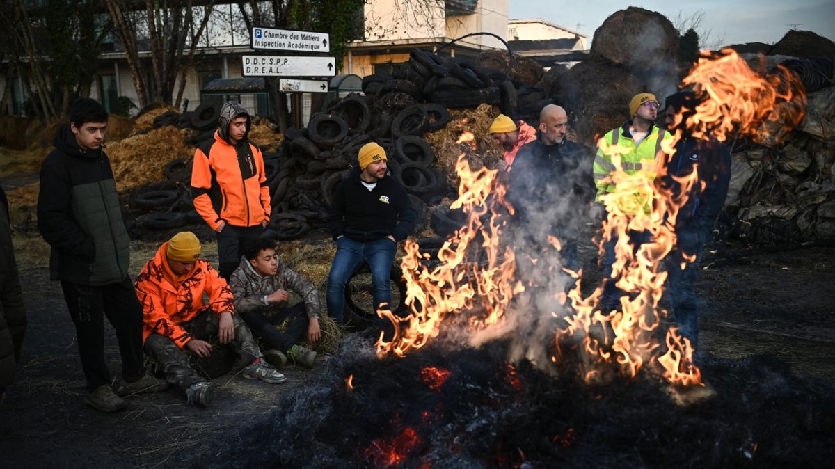 Les agriculteurs en colère contre l'abattage massif face à la dermatose nodulaire