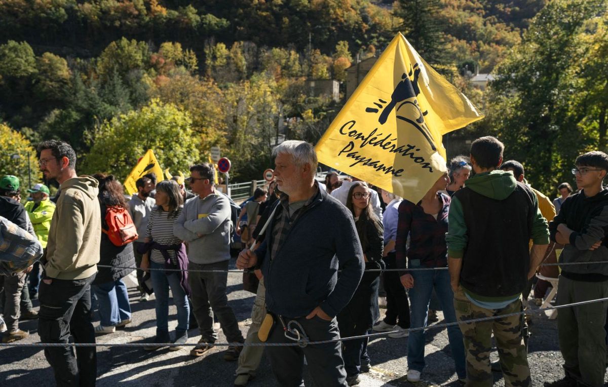 Tensions à Ariège : des agriculteurs résistent face aux abattages liés à la dermatose