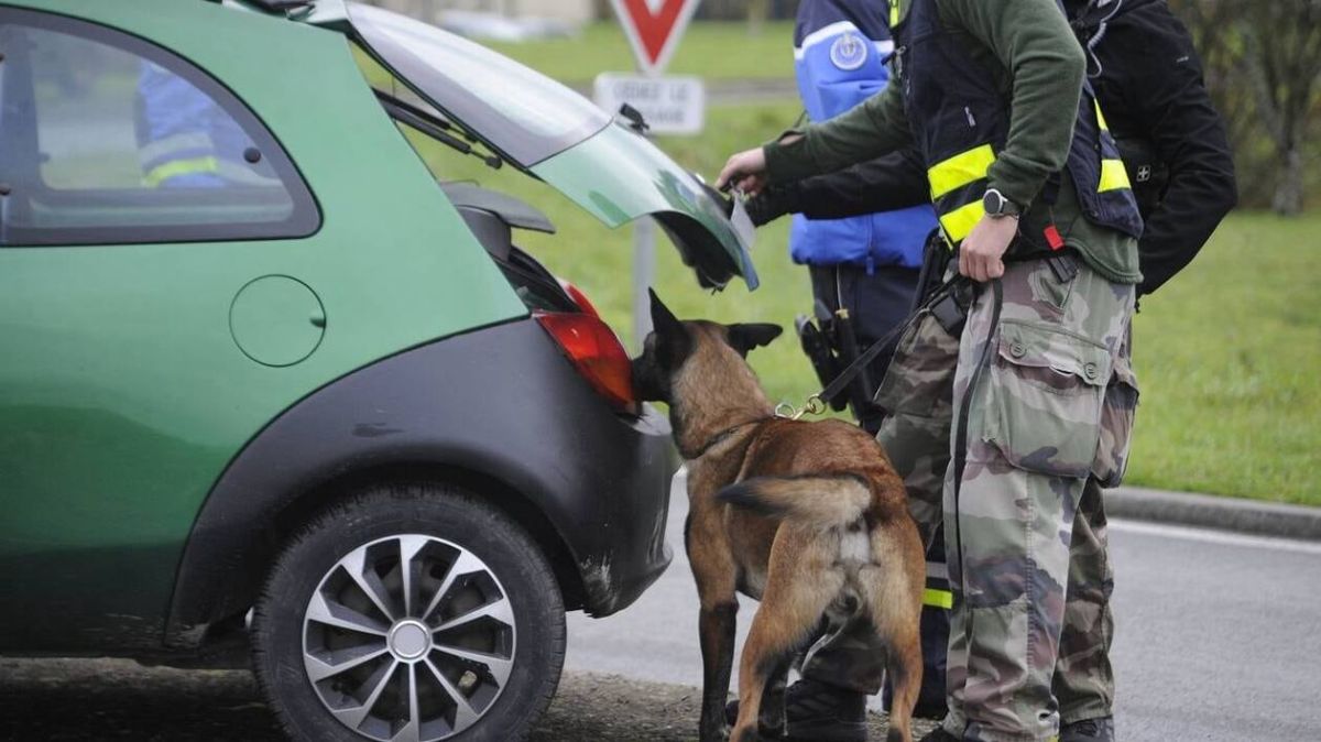 Des gendarmes en renfort pour les fêtes de fin d'année dans les Deux-Sèvres
