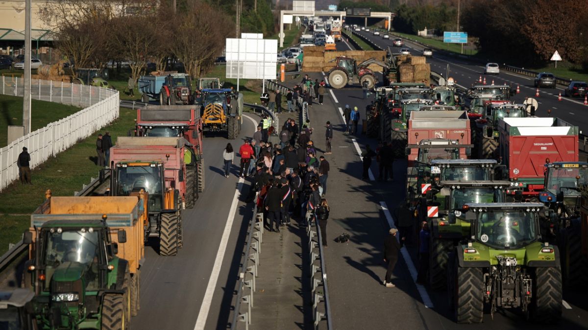 Agriculteurs en colère : la lutte contre l'abattage des troupeaux face à la dermatose nodulaire