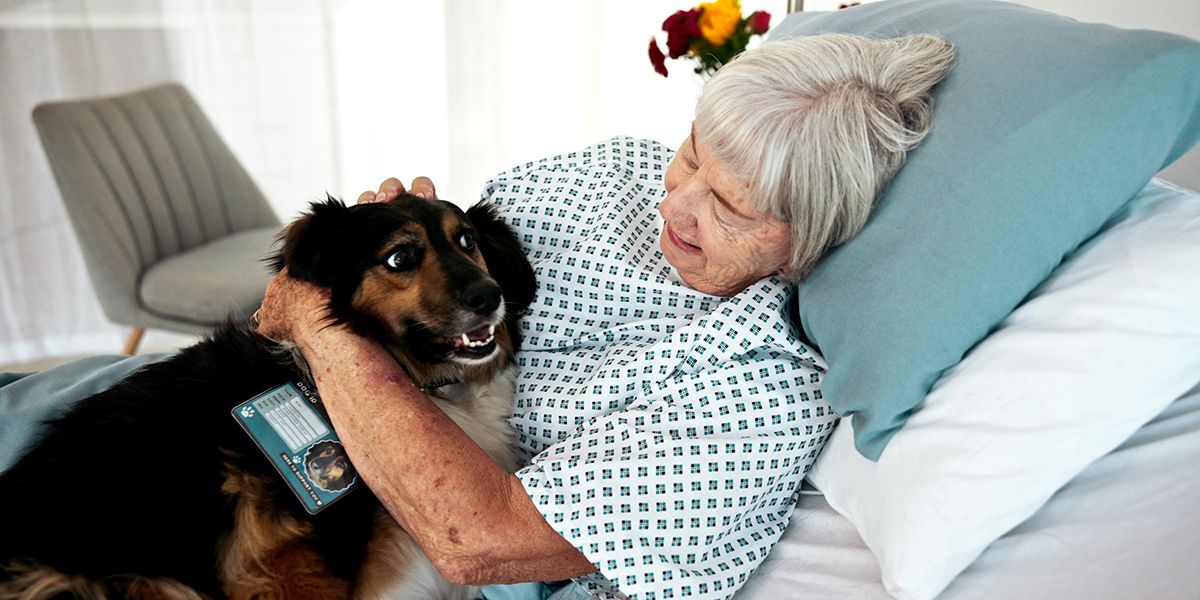 Le droit d'avoir son animal en EHPAD, une avancée précieuse