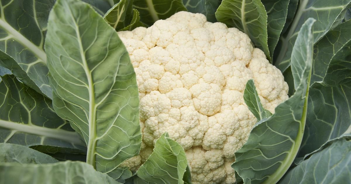 Une crise sans précédent pour les choux-fleurs français : appel à la solidarité des consommateurs