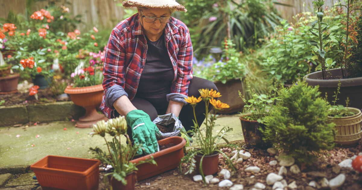 Protégez vos plantes avec ces astuces de paillage