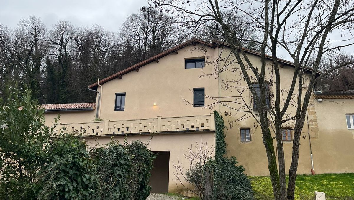 Une fête géante à Valence : entre célébration et désordre