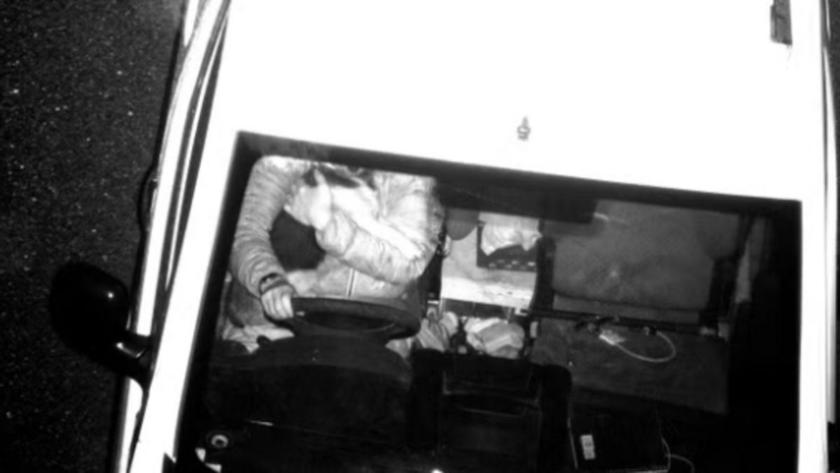 Alerte sur la route : un automobiliste pris la main dans le sac en câlinant son chien