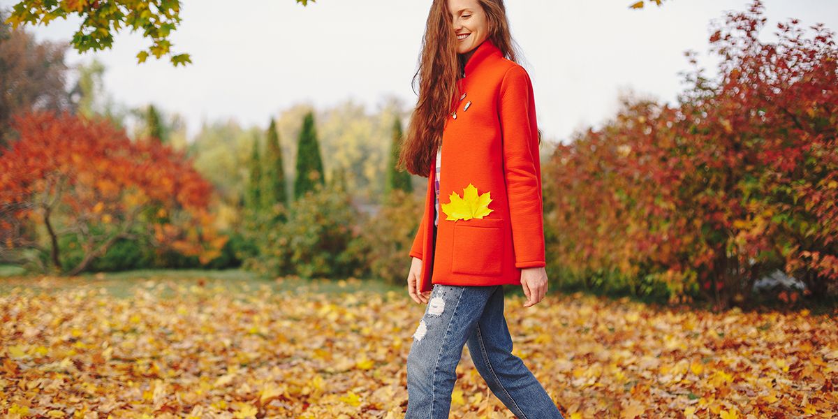 cinq raisons de laisser les feuilles en automne