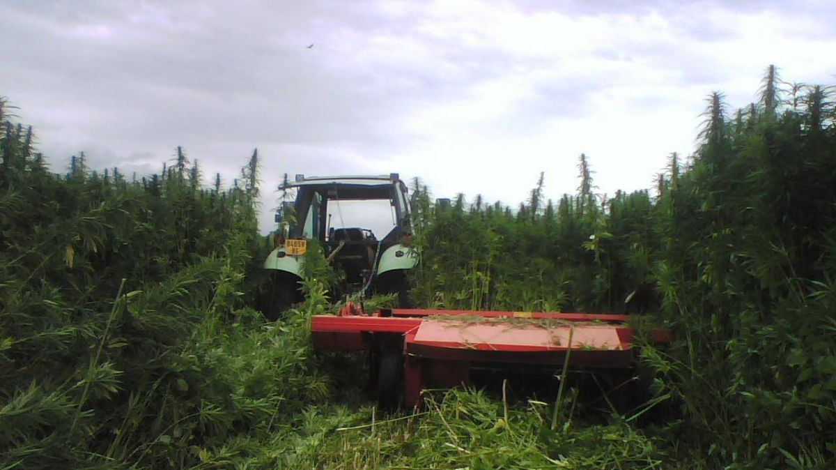 Le chanvre, un atout pour l’avenir économique du Val d’Amboise