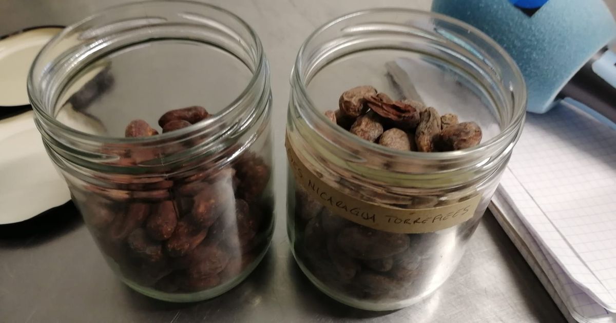 Le chocolat de Pâques à Niort : un artisan défend des prix accessibles pour tous