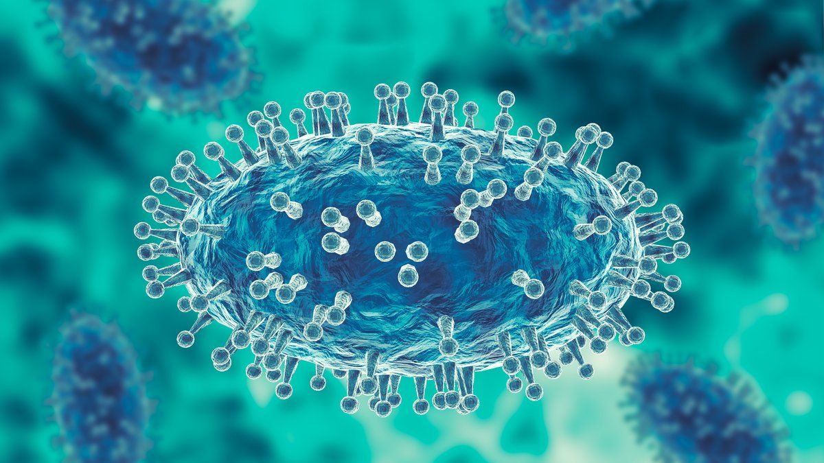 La santé globale en jeu : quelles leçons tirer du One Health Summit à Lyon ?