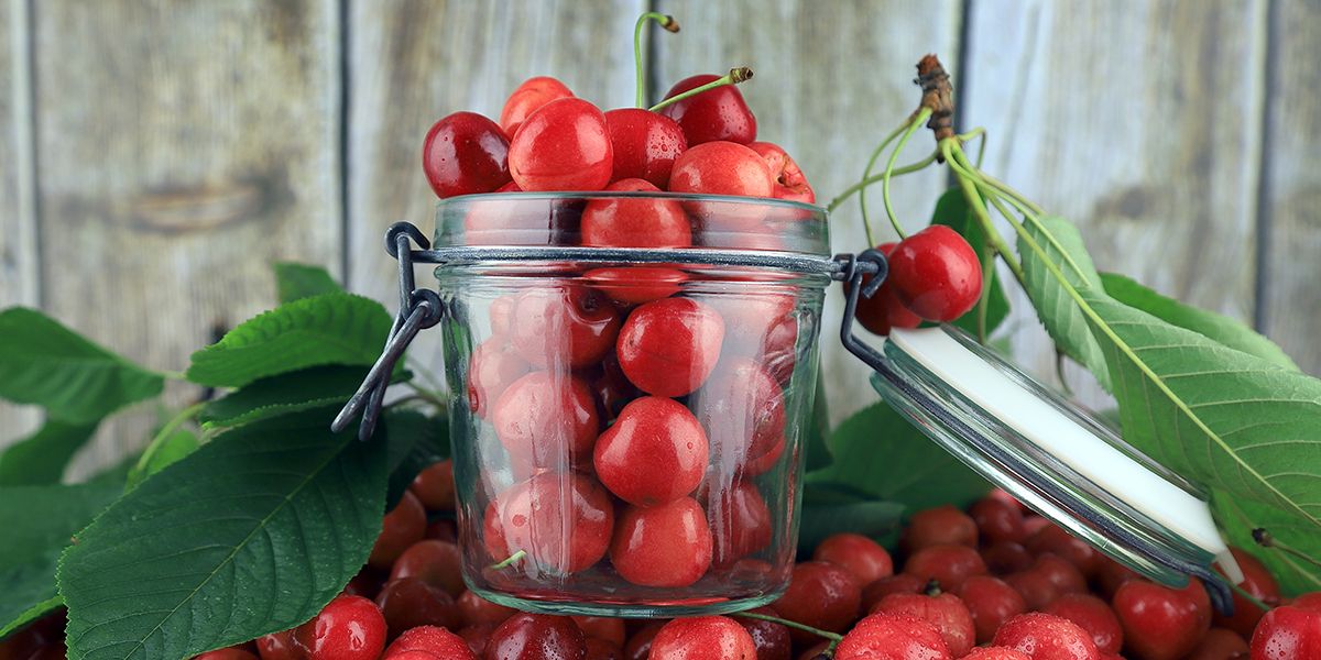 Les cerises à l'honneur : 7 méthodes créatives pour les conserver ou les transformer