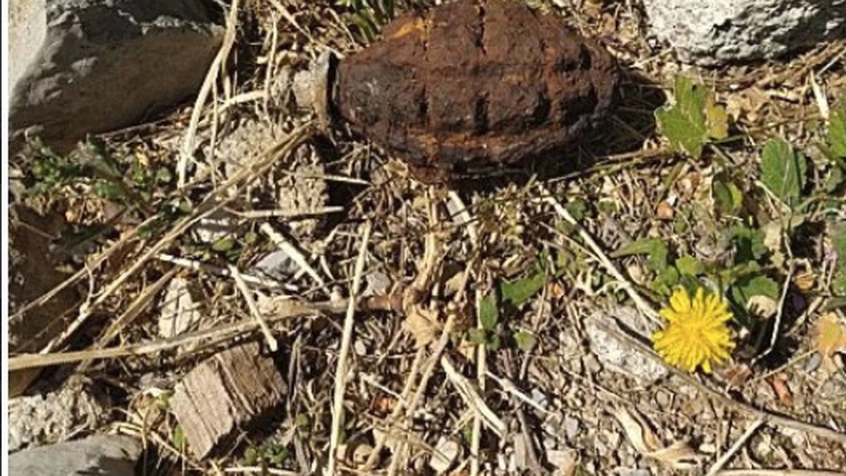 Une grenade retrouvée dans un jardin près de Montpellier : un fait insolite