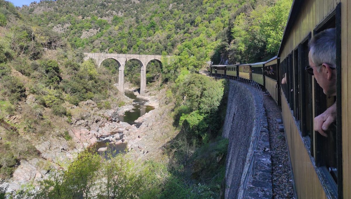 Le train à vapeur de l'Ardèche : un voyage dans le temps qui attire les foules