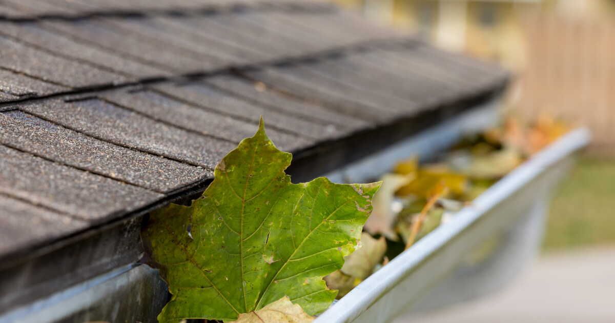 Comment prendre soin de vos gouttières efficacement