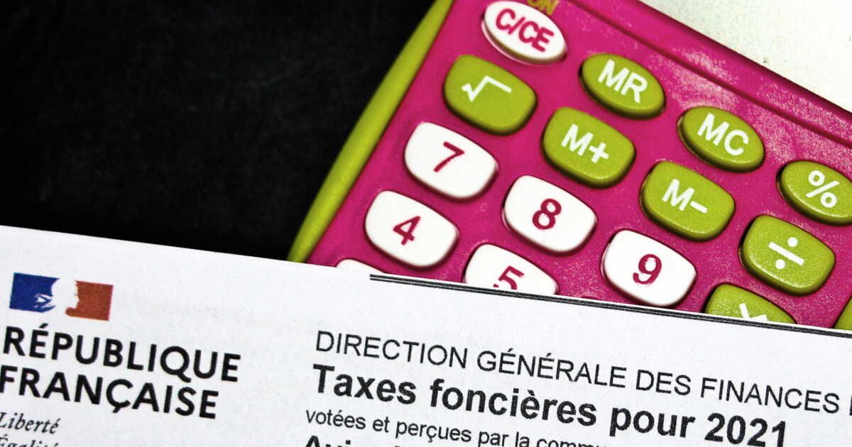 Accéder à l'avis d'imposition d'un tiers : tout ce qu'il faut savoir