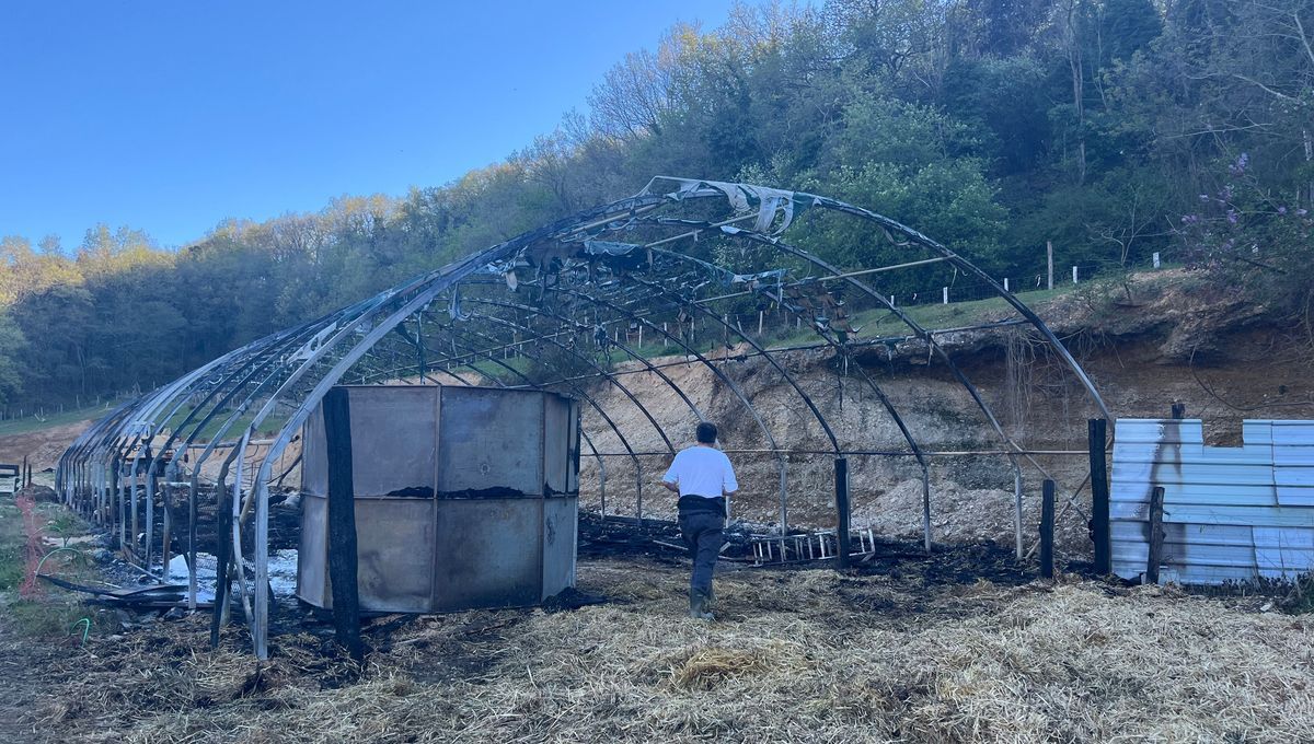 Tragédie à Mirmande : un incendie tue une centaine de brebis