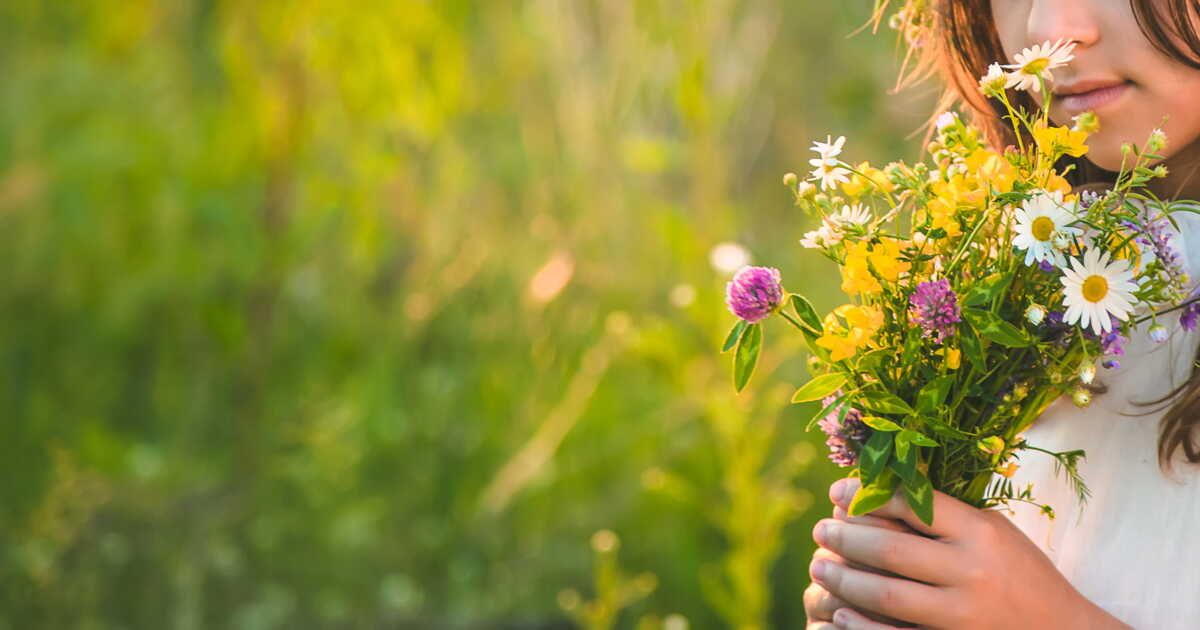 cueillette de fleurs sauvages : respectez la nature dans vos bouquets