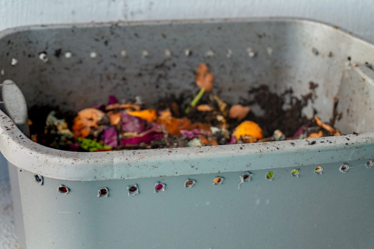 la règle essentielle pour un compost réussi selon une experte en jardinage