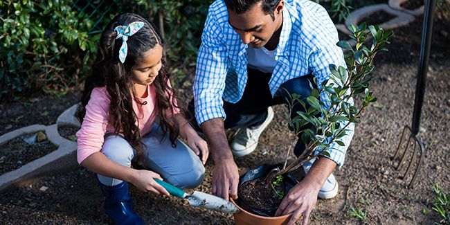Rempoter à l'automne : le guide essentiel pour vos plantes