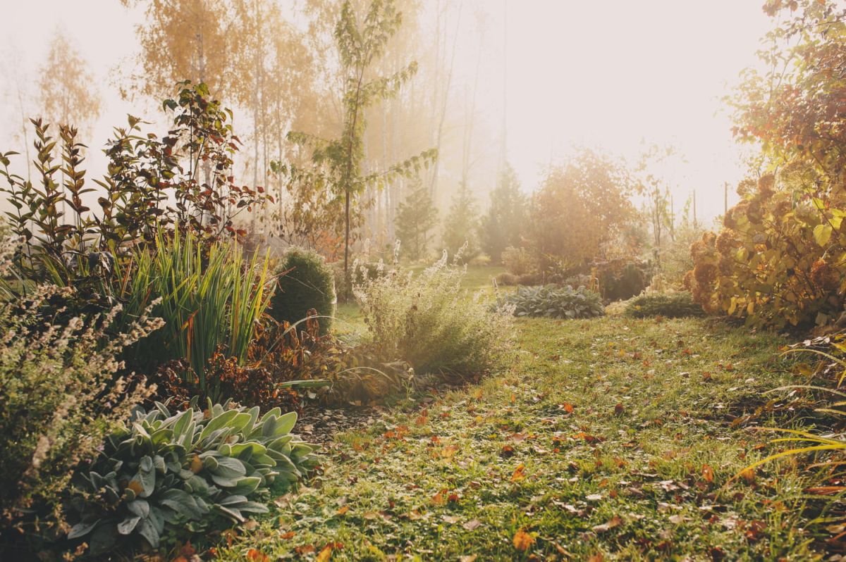 Guide des dictons de jardinage pour profiter de novembre
