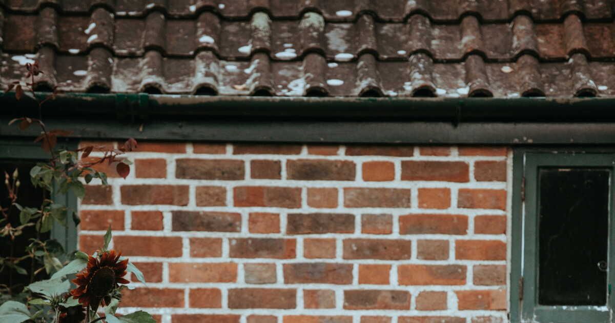 découvrez la méthode miracle pour éliminer mousse et tâches sur briques en terre cuite