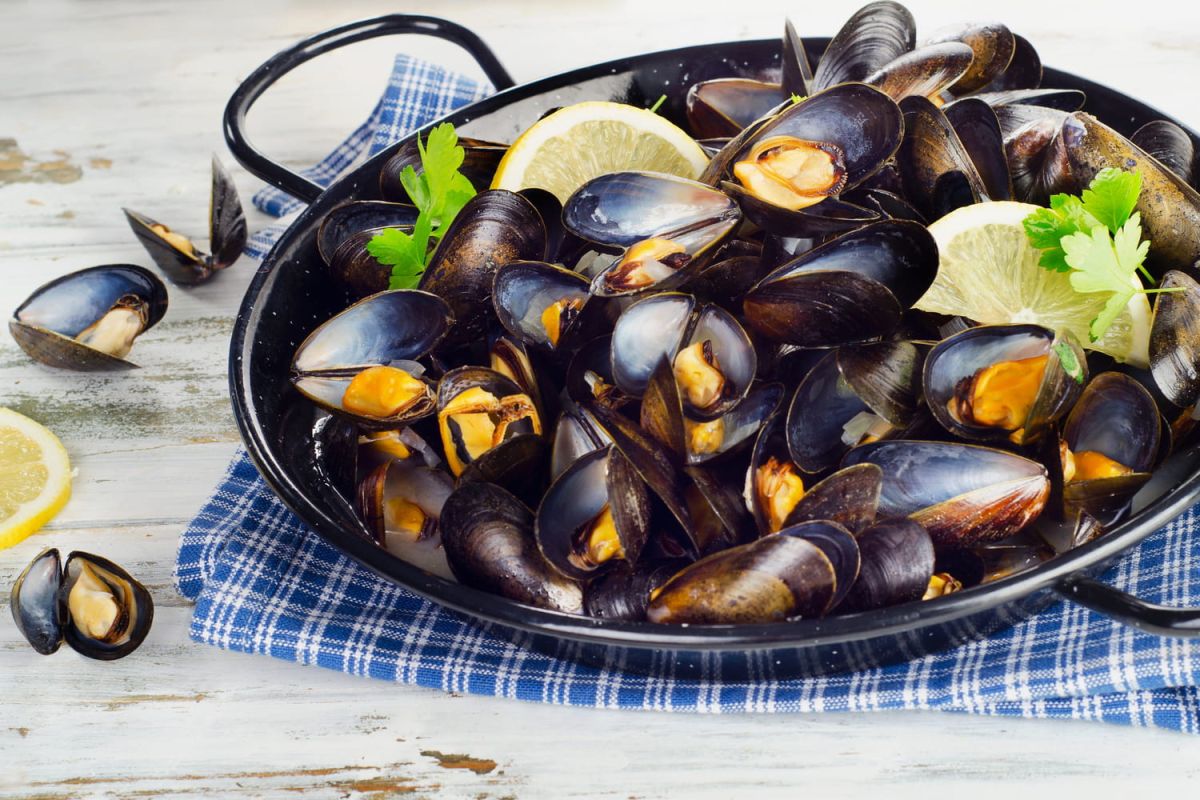Comment bien choisir ses moules ?