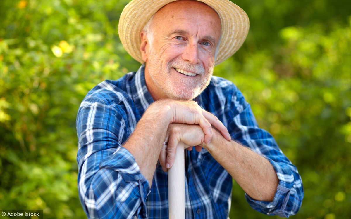 Des plantes astucieuses pour égayer un mur plein nord