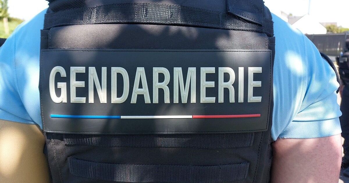 Les gendarmes de l'Ardèche organisent des recherches pour retrouver une femme disparue