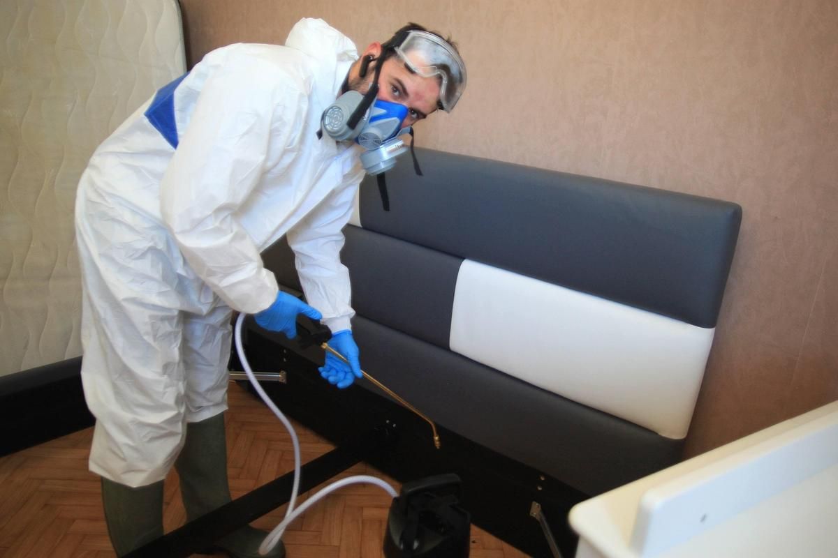 Punaises de lit : les dangers d'un insecticide interdit continuent de peser en France