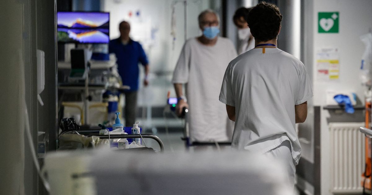 Les raisons des décès en Corse : un rapport révélateur