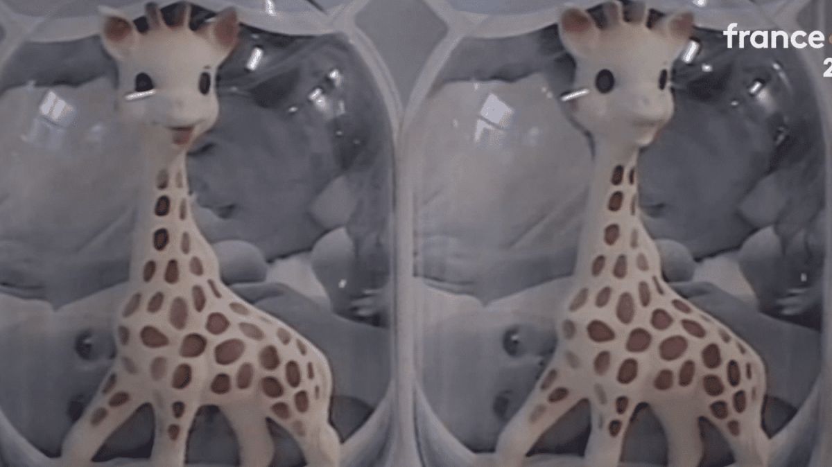 Sophie la girafe : une icône française remise en question
