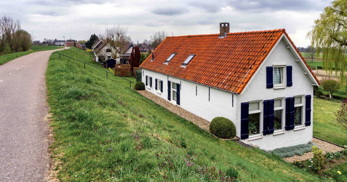 Dangers de la mérule : un champignon tueur d'habitations