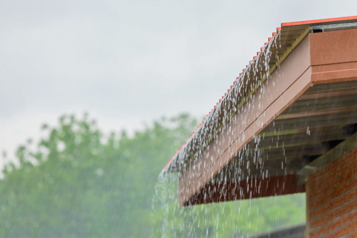 Récupérer l'eau de pluie : ce que vous devez savoir avant de vous lancer