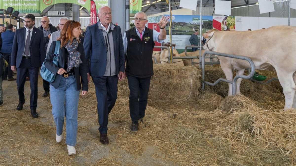 Le Salon de l’agriculture de Nouvelle-Aquitaine : une célébration de l'élevage et de la gastronomie à Bordeaux