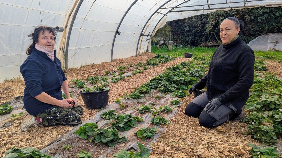 Gardanne s’engage pour la nature : devenez acteur de votre environnement