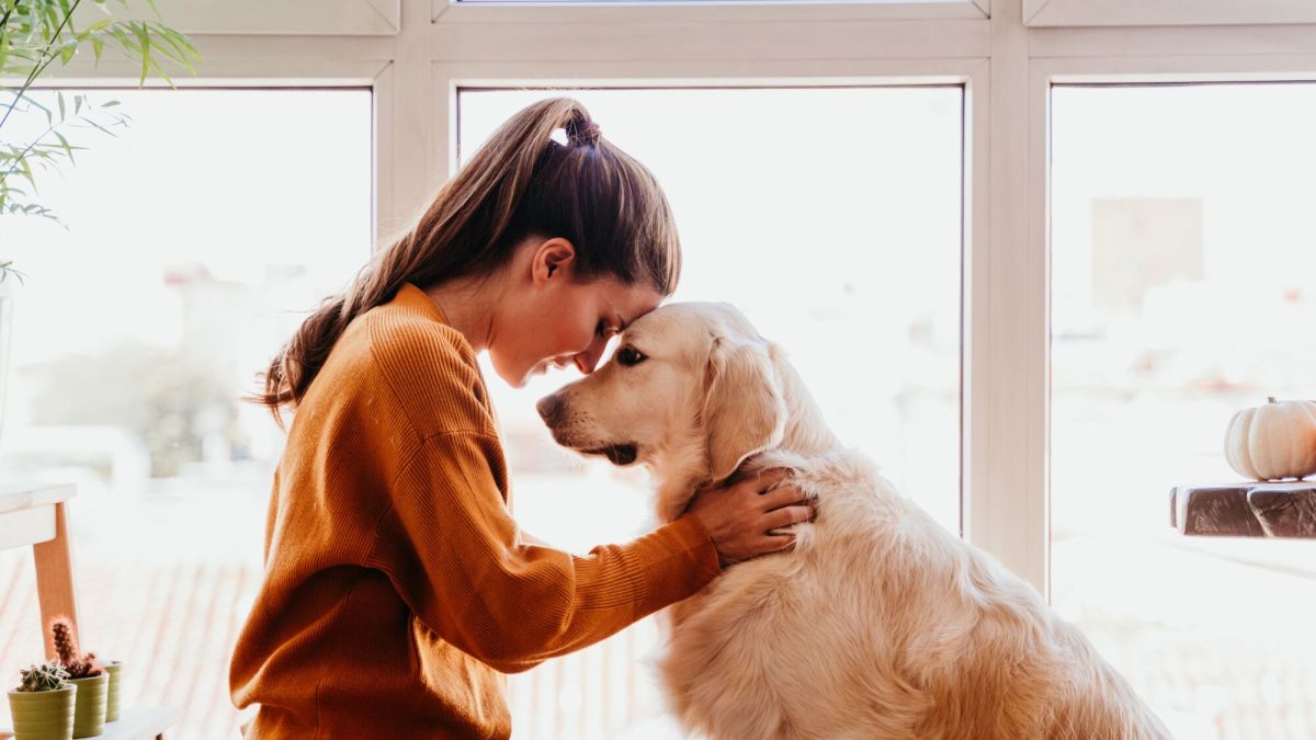 Un impôt sur les chiens tiré d'Allemagne : une idée à la mode en France ?