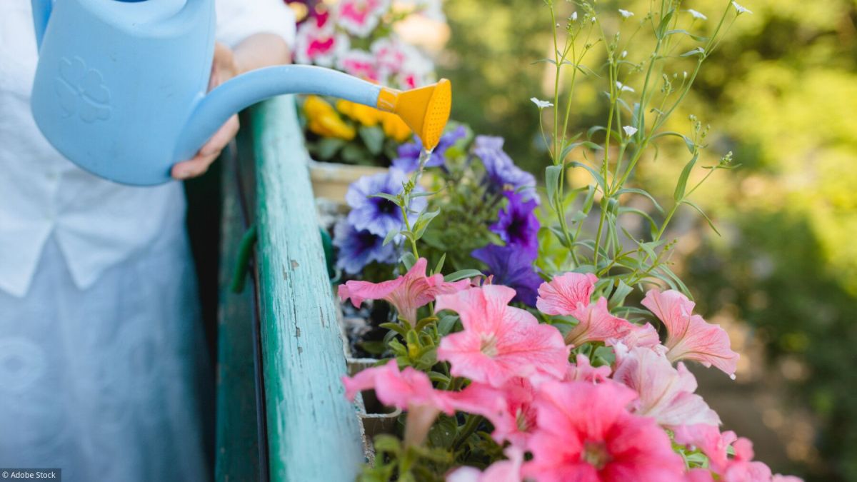 Transformez votre balcon en un véritable paradis floral