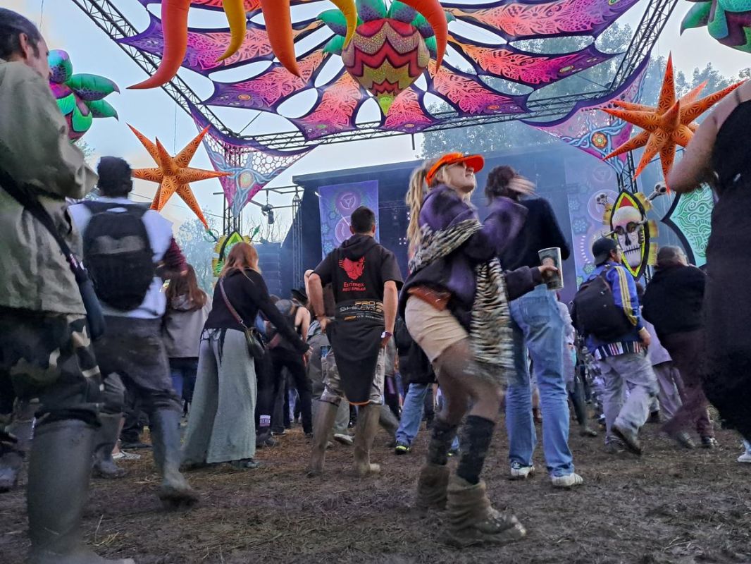 L'état de la musique électronique face à la répression des free parties : la danse n'est pas un crime