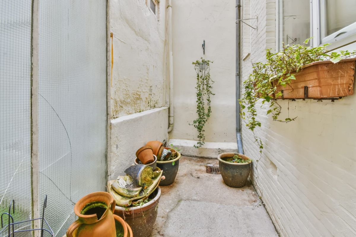Transformez votre espace en havre de paix : le jardin de poche à la portée de tous