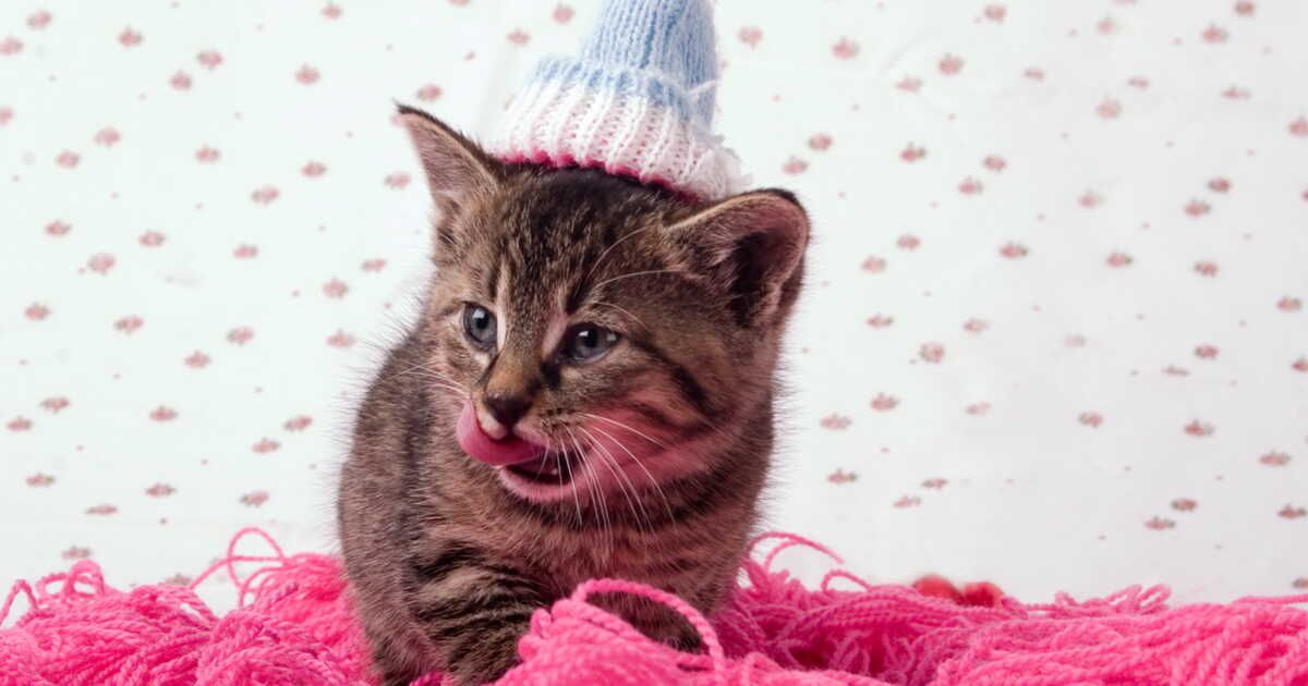 Découvrez comment tricoter un bonnet facilement grâce à nos vidéos tutoriels