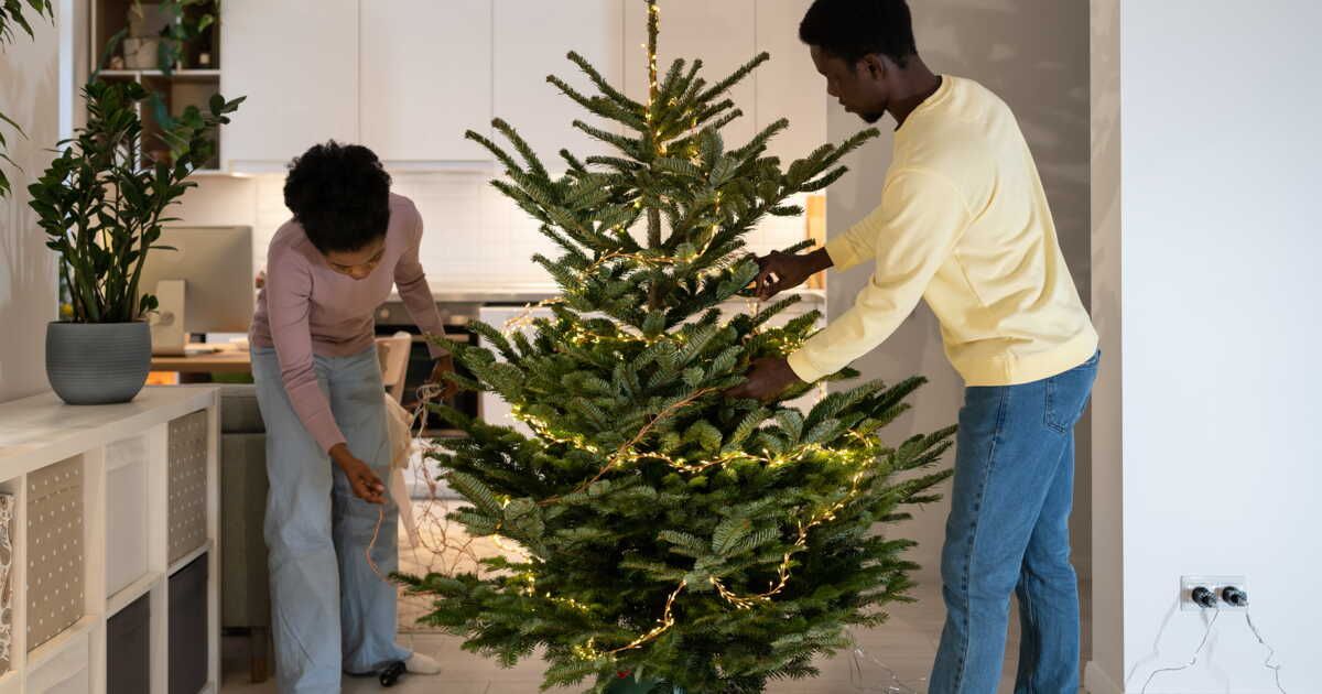 Préparez votre sapin sans endommager le sol : astuces incontournables