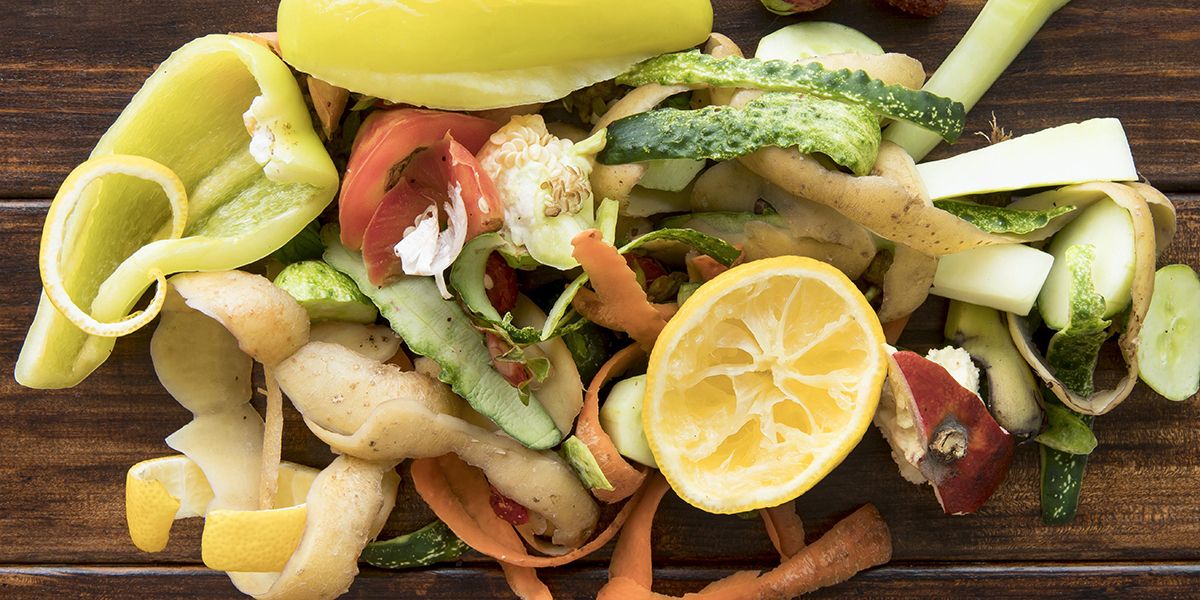 Les peaux d'agrumes au compost : une précieuse richesse à utiliser avec discernement