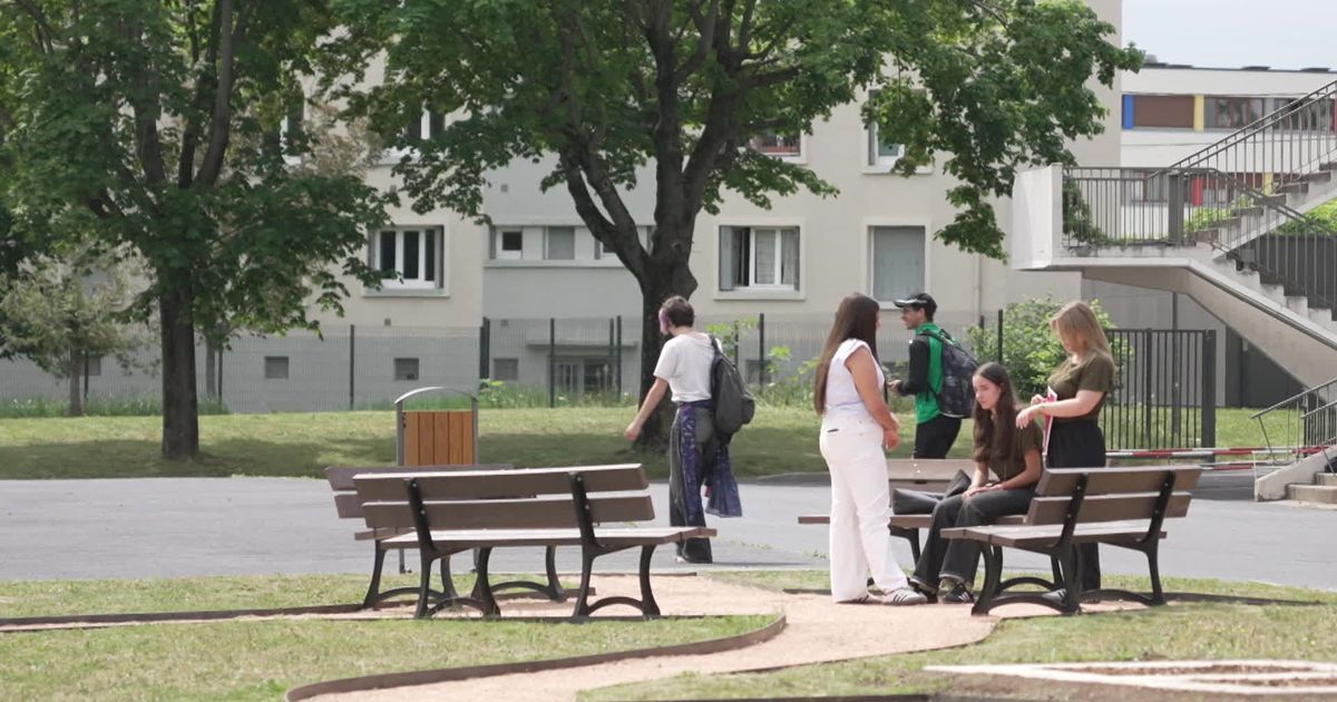 Des lycéens de Clermont-Ferrand créent un oasis de détente végétalisé